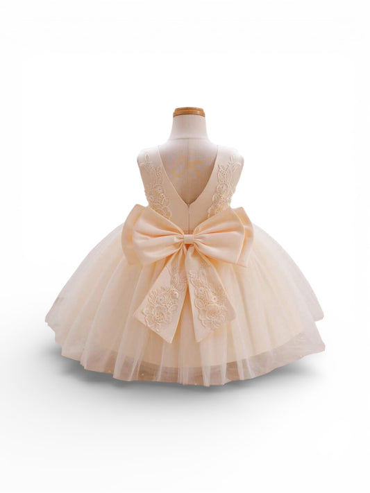 Embroidery champagne peach girls dress