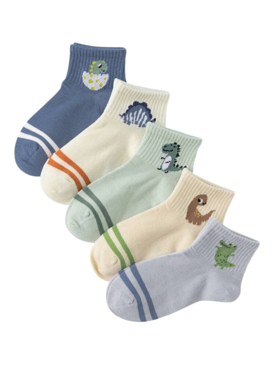 Dino baby socks 5 pk set