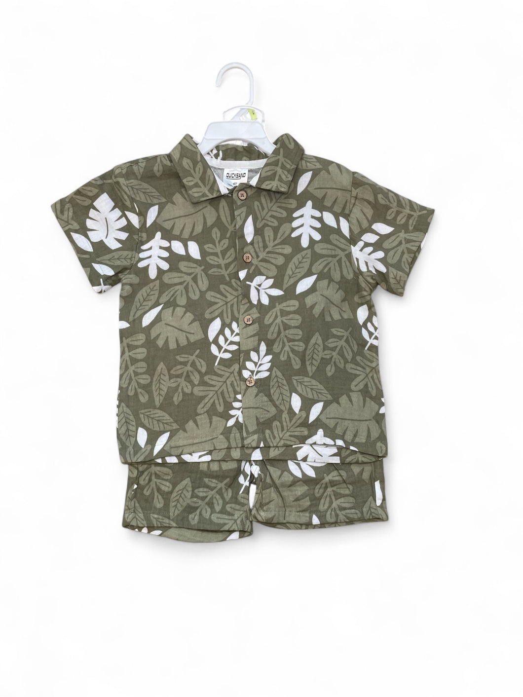 Quick sand green leaf print  boys set