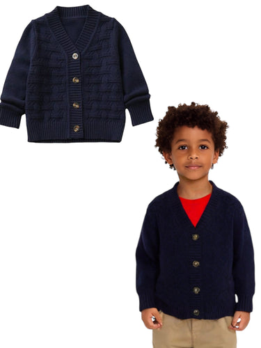 Boy button down  blue sweater