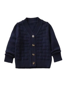 Boy button down  blue sweater