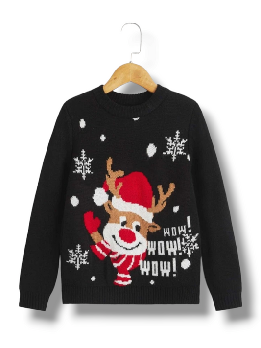 Boy Christmas sweater (wow