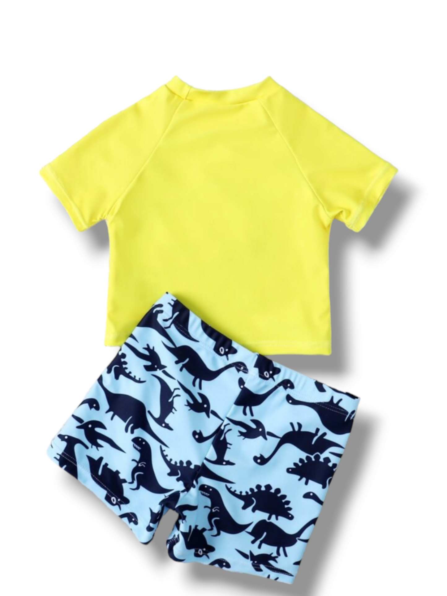 Dinosaur world baby swimsuit