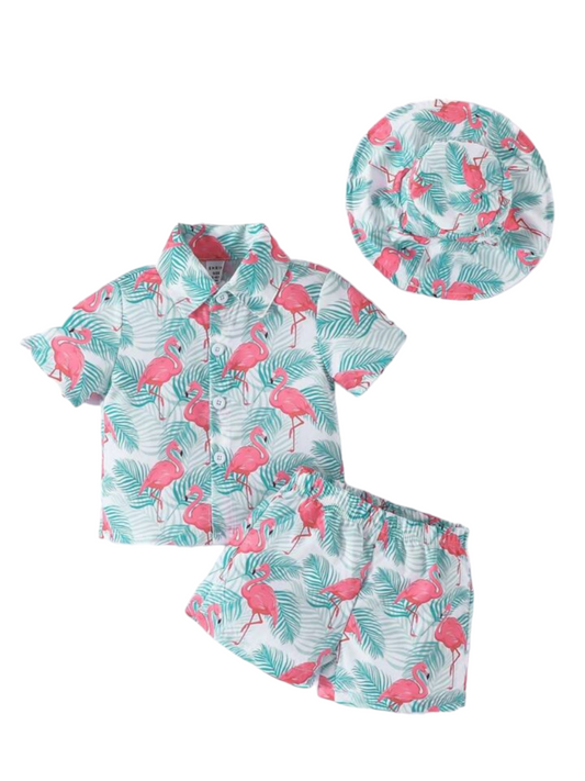 Boy Flamingo print 2pc set with hat