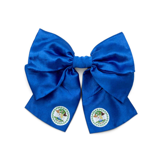 Satin blue belize bow