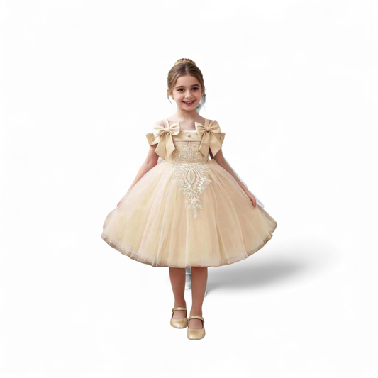 Gold lace & tulle fancy girl dress 2k6
