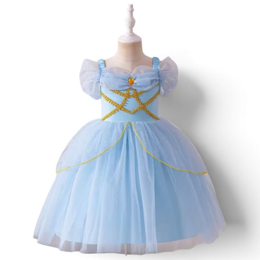 Princess blue with gold girls dress